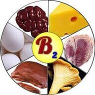 B2 B2 Vitaminas para el cerebro